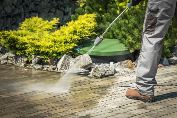 Best Sidewalk and Walkway Cleaning  in South Farmingdale, NY